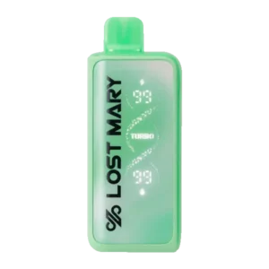 Winter Mint Lost Mary MT35000 Turbo